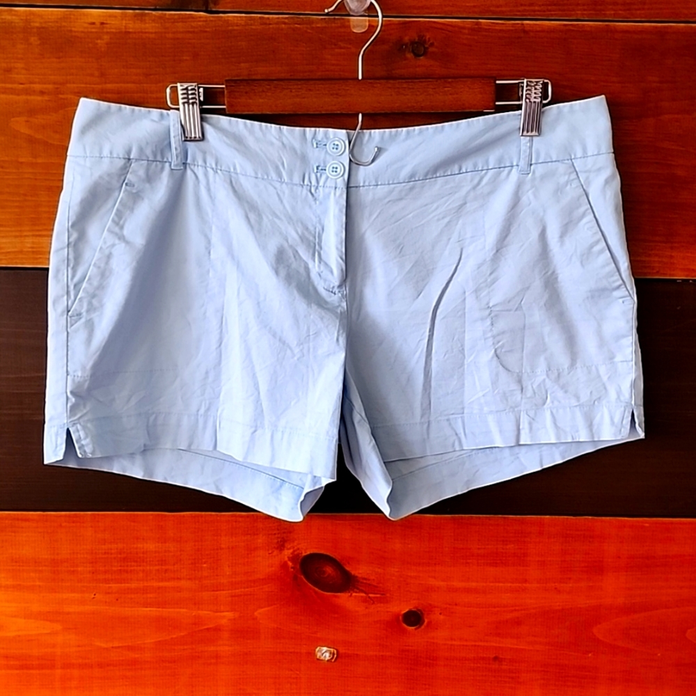 Women's Shorts. Size 10. Pale blue.  From the a Limited.